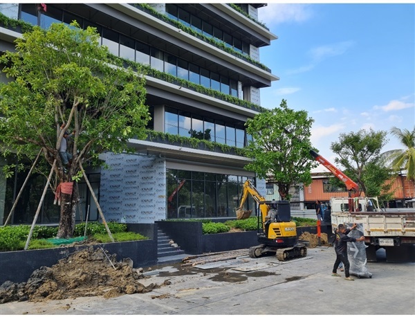 จิกน้ำ | เอกไม้มงคล88 - เมืองปราจีนบุรี ปราจีนบุรี