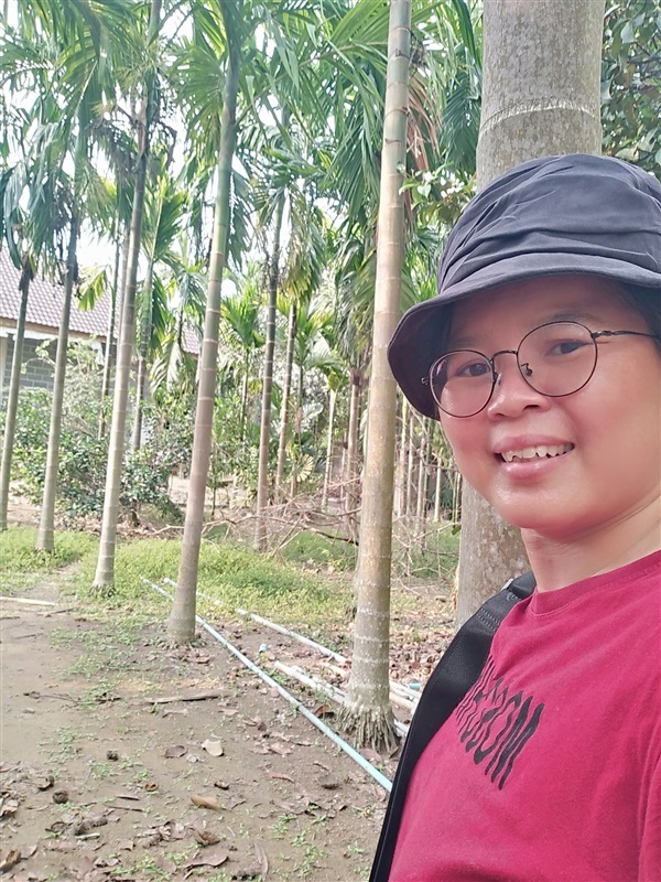 ต้นกล้าหมากสง | เมล็ดพันธุ์ดี เกษตรวิถีไทย - เมืองระยอง ระยอง
