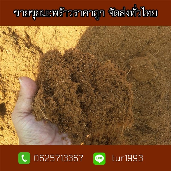 ขายขุยมะพร้าวราคาถูกจัดส่งทั่วไทย | พูลศิลป์การเกษตร  - ทองผาภูมิ กาญจนบุรี