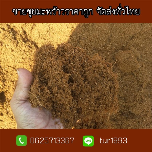 ขายขุยมะพร้าวราคาถูกจัดส่งทั่วไทย