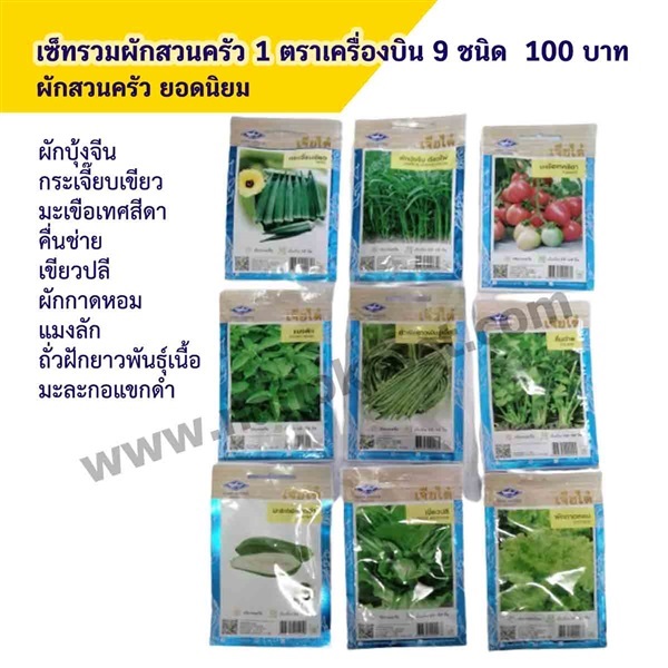 เมล็ดพันธ์แบบจัดเซ็ท 100 บาท | เมล็ดถั่วเขียว อุบลราชธานี - เมืองอุบลราชธานี อุบลราชธานี