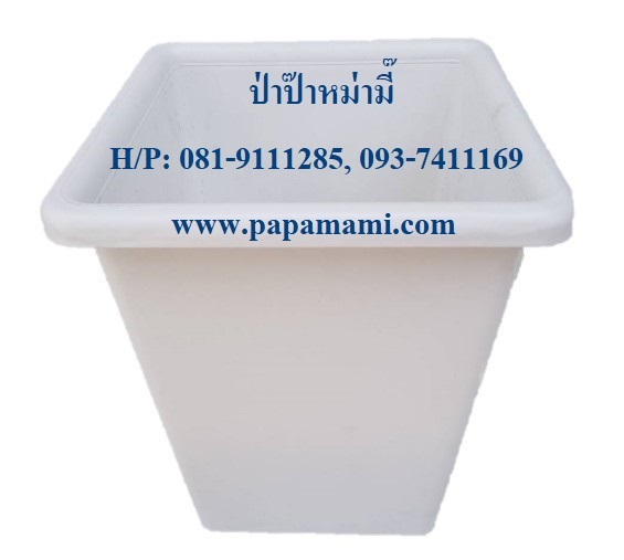 กระถาง ขาว เหลี่ยม 7 นิ้ว ทรงสูง กระถางพลาสติก กระถางแคคตัส  | บ้านป่าป๊า & หม่ามี๊ - บางบัวทอง นนทบุรี