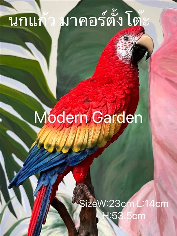 In stock Now นกแก้วมาคอร์ ตั้งโต๊ะ สนใจline moderngarden6 | Modern Garden Thailand - บางพลัด กรุงเทพมหานคร