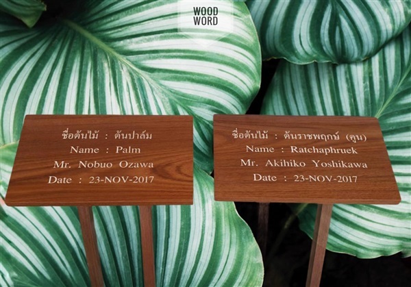 ป้ายชื่อต้นไม้ | Wood Word - บางซื่อ กรุงเทพมหานคร