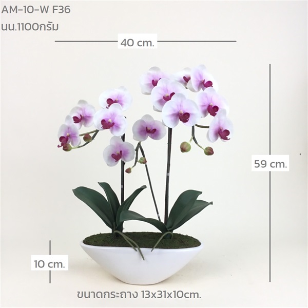 กระถางกล้วยไม้ประดิษฐ์ AM-10-W F36