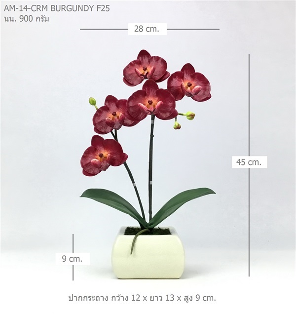 กระถางกล้วยไม้ประดิษฐ์ AM-14-CRM F25 | ร้านอัครดอกไม้  - จตุจักร กรุงเทพมหานคร