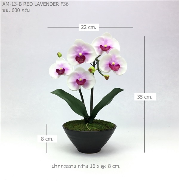 กระถางกล้วยไม้ประดิษฐ์ AM-13-B F36