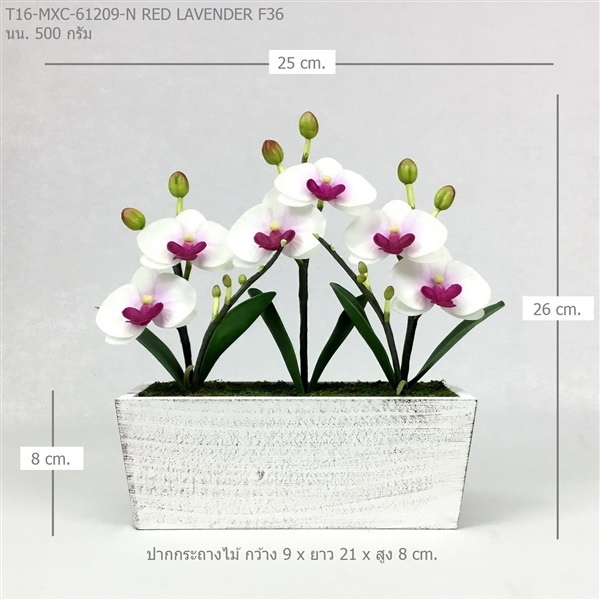 กระถางกล้วยไม้ประดิษฐ์ T16-MXC-61209-N F36 | ร้านอัครดอกไม้  - จตุจักร กรุงเทพมหานคร