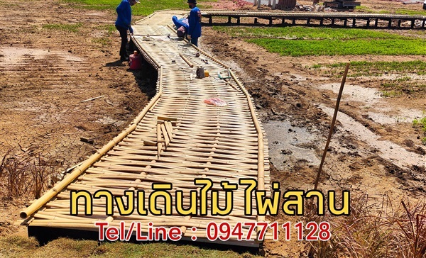 สะพานทางเดินไม้ไผ่สานขัดแตะ | ฟามสุข - คลองหลวง ปทุมธานี