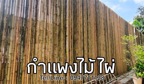 กำแพงไม้ไผ่ สูง 5 เมตร | ฟามสุข - คลองหลวง ปทุมธานี