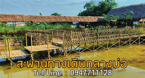 สะพานทางเดินไม้ไผ่กลางบ่อ | ฟามสุข - คลองหลวง ปทุมธานี