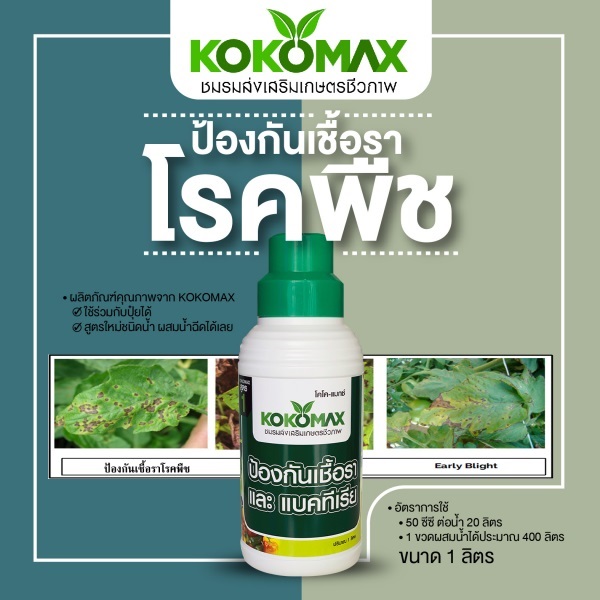 สารชีวภาพกำจัดโรคพืช KOKOMAX ขนาด 1 ลิตร | ชมรมส่งเสริมเกษตรชีวภาพ - สายไหม กรุงเทพมหานคร