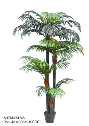 ต้นปาล์ม 180 ซม | laddagarden - ลาดหลุมแก้ว ปทุมธานี