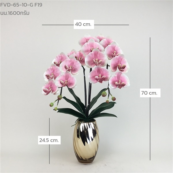 แจกันกล้วยไม้ฟาแลน FVD-65-10-G F19