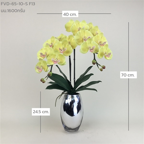 แจกันกล้วยไม้ฟาแลน FVD-65-10-S F13 | ร้านอัครดอกไม้  - จตุจักร กรุงเทพมหานคร