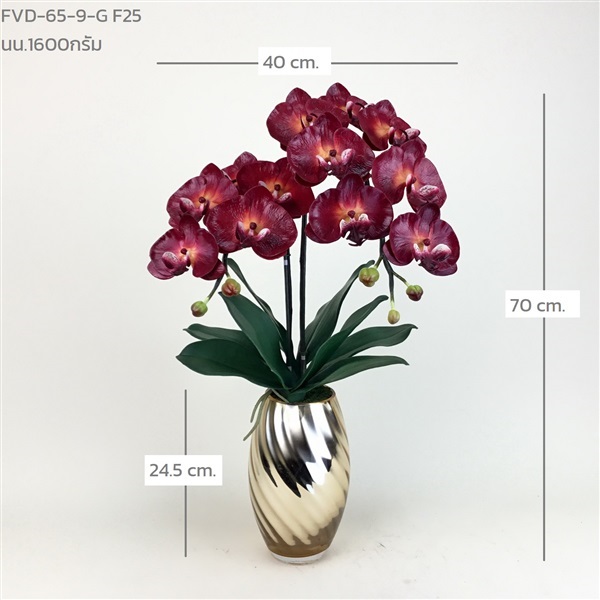 แจกันกล้วยไม้ฟาแลน FVD-65-9-G F25