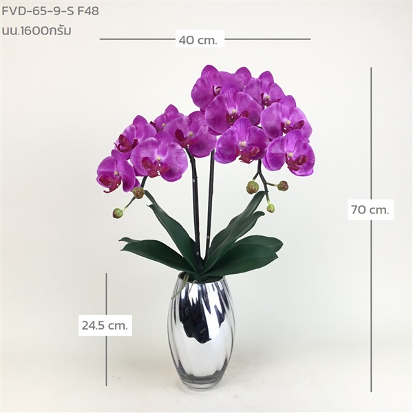 แจกันกล้วยไม้ฟาแลน FVD-65-9-S F48 | ร้านอัครดอกไม้  - จตุจักร กรุงเทพมหานคร