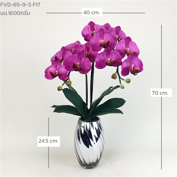 แจกันกล้วยไม้ฟาแลน FVD-65-9-S F17 | ร้านอัครดอกไม้  - จตุจักร กรุงเทพมหานคร