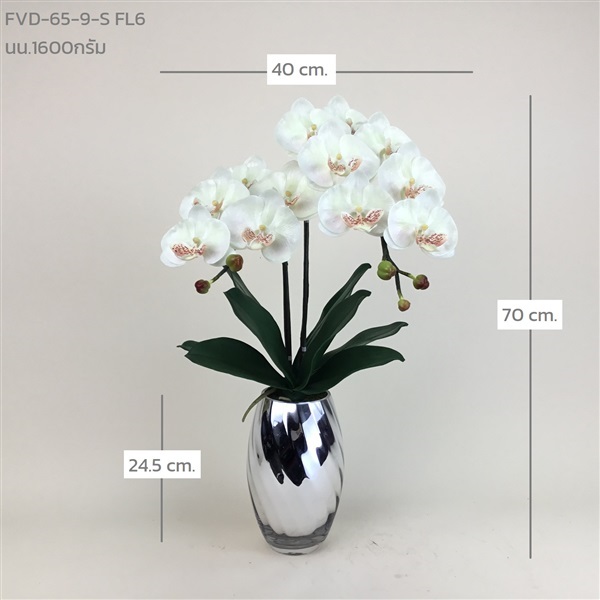 แจกันกล้วยไม้ฟาแลน FVD-65-9-S FL6