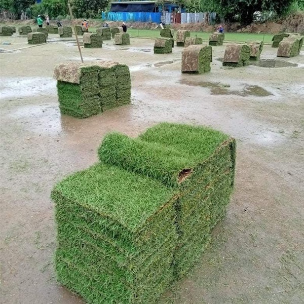 บริการปูหญ้า รับปูหญ้า  | สมพงศ์ฟาร์ม - เมืองตรัง ตรัง
