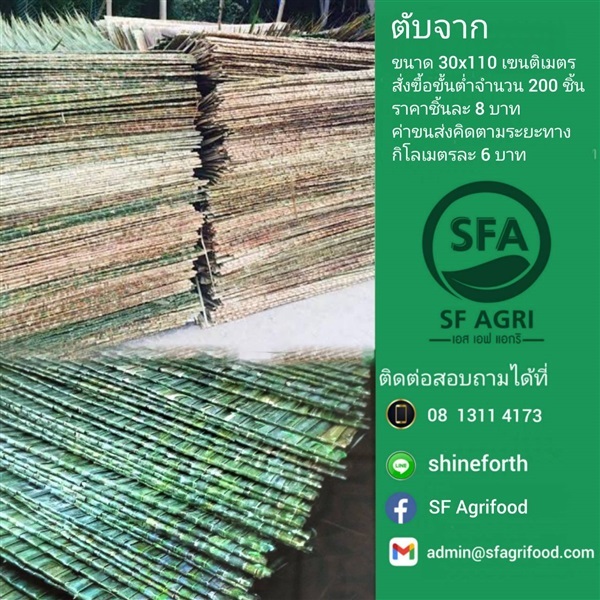 ตับจาก | SF Agrifood - คลองหลวง ปทุมธานี