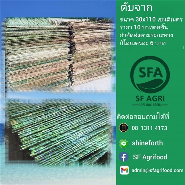 ตับจาก | SF Agrifood - คลองหลวง ปทุมธานี