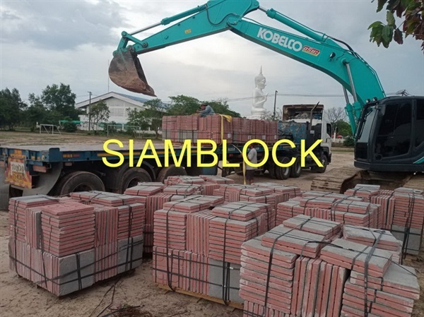 บล็อกตัวหนอน แผ่นทางเดิน แผ่นทางเท้า ราคาโรงงาน | Siamblock - เมืองปทุมธานี ปทุมธานี