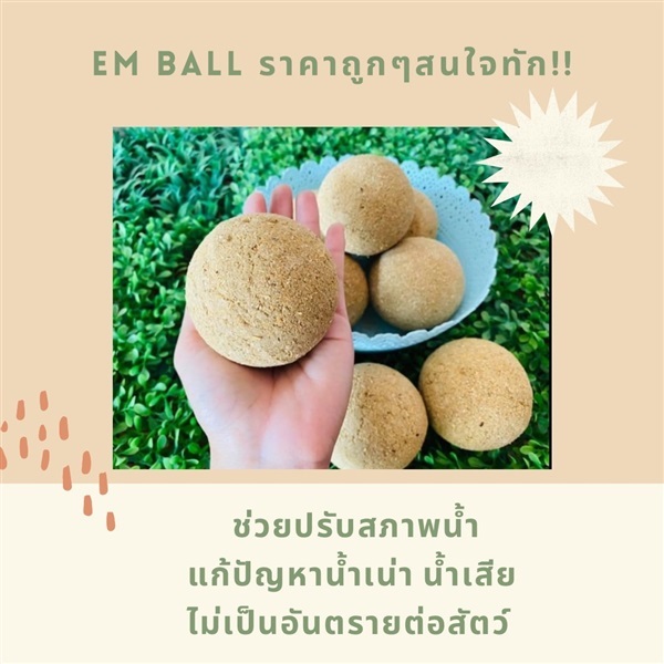 EM-BALL ปรับสภาพน้ำ  | วัตถุดิบอาหารสัตว์ ลดต้นทุน - เมืองราชบุรี ราชบุรี