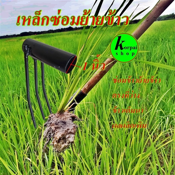 เหล็กซ่อมข้าวย้ายข้าวแทนการดำ 1นิ้ว | sk-organic - บางปะหัน พระนครศรีอยุธยา