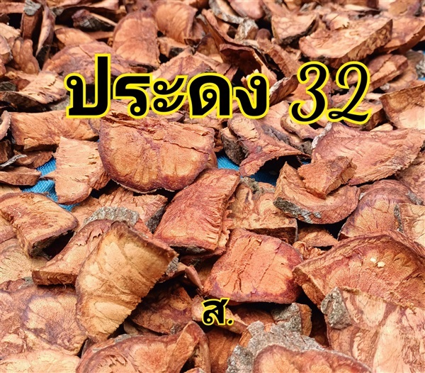 ประดง 32 | สวนหทัยทิพย์ - วัดโบสถ์ พิษณุโลก