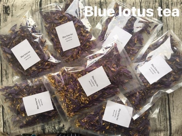 ชาดอกบัวสีน้ำเงิน Blue Lotus tea มีบริการเก็บเงินปลายทาง