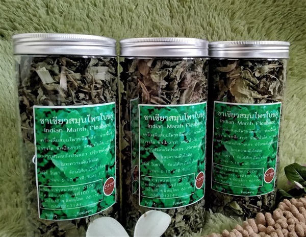 ชาใบขลู่ | PSL THAI HERB CENTER -  พิษณุโลก