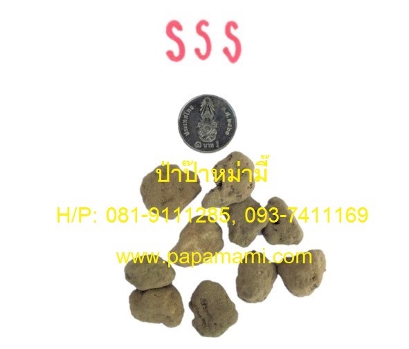  หินภูเขาไฟ Pumice Stone อินโดนีเซีย เบอร์ SSS (1-2 cm.) ขนา | บ้านป่าป๊า & หม่ามี๊ - บางบัวทอง นนทบุรี