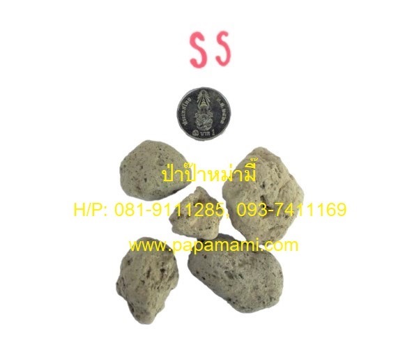 หินภูเขาไฟ Pumice Stone อินโดนีเซีย เบอร์ SS (2-3 cm.) ขนาด | บ้านป่าป๊า & หม่ามี๊ -  