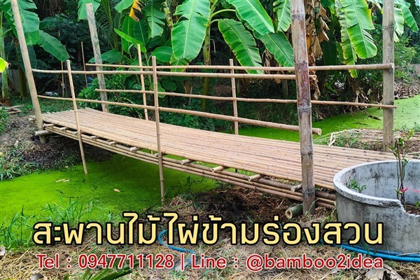 สะพานไม้ไผ่ข้ามร่องสวน | ฟามสุข - คลองหลวง ปทุมธานี