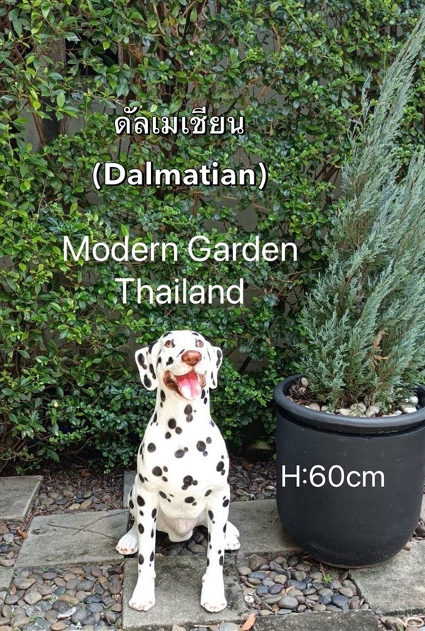 น้อลสุนัขดรัมเมเชี่ยน แต่งบ้านและสวนสนใจLine:moderngarden6 | Modern Garden Thailand - บางพลัด กรุงเทพมหานคร