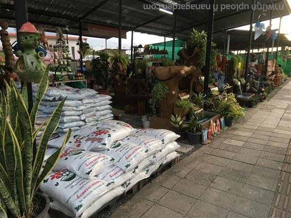 อุปกรณ์การเกษตร | อวยพรสวัสดิ์ กังหันลม - คลองสามวา กรุงเทพมหานคร