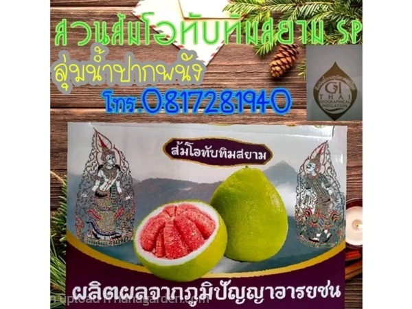 ส้มโอทับทิมสยาม