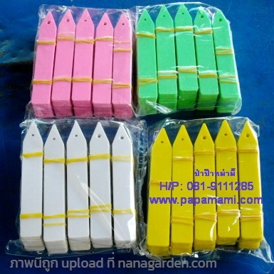 ป้ายบางชื่อต้นไม้ปลายแหลม HT-003   | บ้านป่าป๊า & หม่ามี๊ - บางบัวทอง นนทบุรี