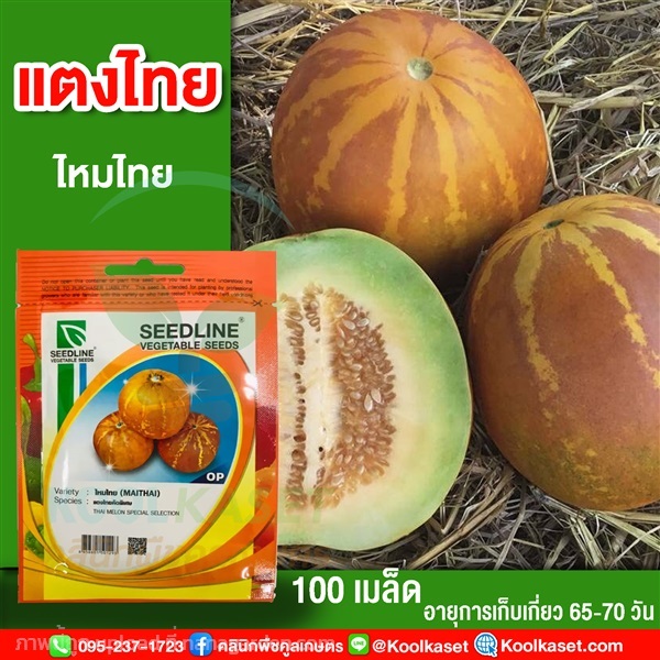 พันธุ์แตงไทย ไหมไทย ซีดไลน์ 100 เมล็ด คูลเกษตร | คลินิกพืชคูลเกษตร - ชุมตาบง นครสวรรค์