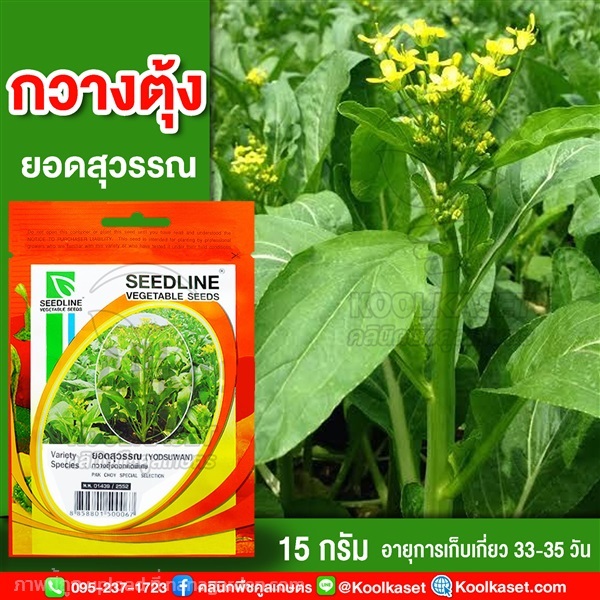 พันธุ์กวางตุ้งดอก ยอดสุวรรณ ซีดไลน์ 15 กรัม คูลเกษตร