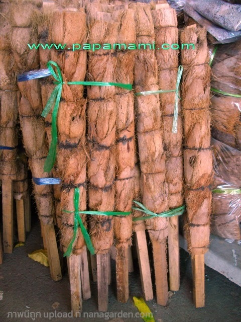 หลักมะพร้าว 60 ซ.ม. (กาบมะพร้าว หุ้มบนไม้)   | บ้านป่าป๊า & หม่ามี๊ - นนทบุรี