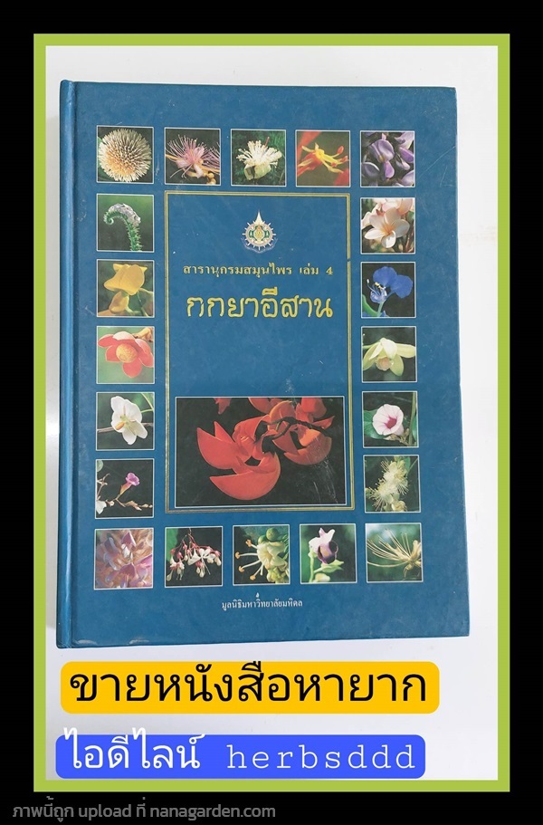 ขายหนังสือ สารานุกรมสมุนไพร เล่ม 4 กกยาอีสาน ราคา 1,000 บาท