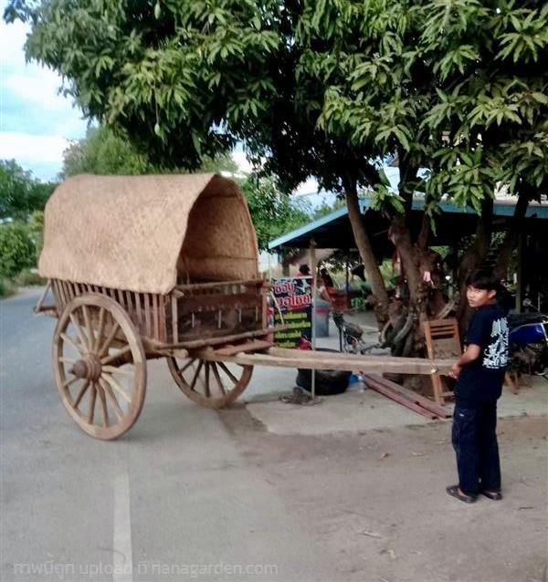 เกวียนไม้สักโบราณ เกวียนอีสาน พร้อมกระบังแดด เกวียนไม้ยกชุด  | ร้านวังโบราณ - บางบัวทอง นนทบุรี