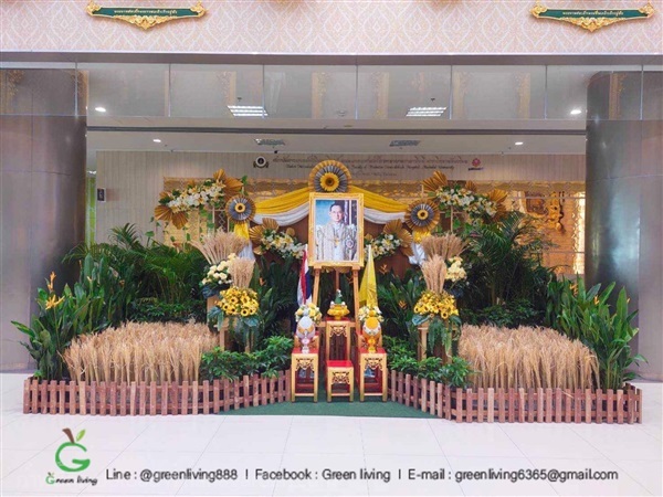 รับจัดฉาก งานสำคัญต่างๆ | Green Living - พระนคร กรุงเทพมหานคร