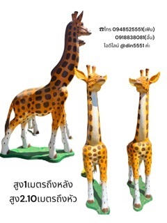 ยีราฟ | ด่านเกวียนเดคคอร์ - โชคชัย นครราชสีมา