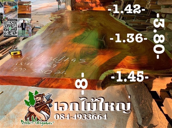 ไม้มะค่า | เอกไม้ใหญ่ - เมืองนครสวรรค์ นครสวรรค์