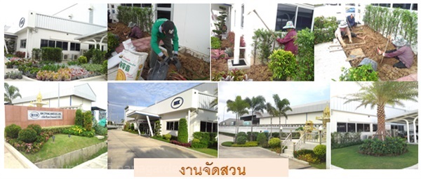 รับจัดสวน ออกแบบ ดูแลสวน อยุธยาและจัังหวัดใกล้เคียง | รับจัดสวน ตัดหญ้า อยุธยา - นครหลวง พระนครศรีอยุธยา