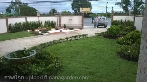 รับจัดสวน ออกแบบ ตัดแต่งสวน อยุธยาและจัังหวัดใกล้เคียง | รับจัดสวน ตัดหญ้า อยุธยา - นครหลวง พระนครศรีอยุธยา