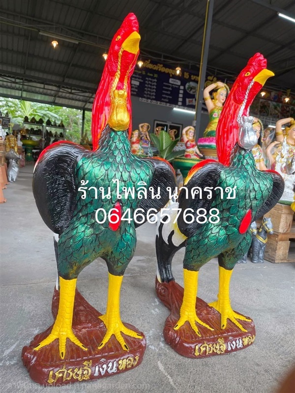 ไก่ชนขนาดใหญ่ ไก่แก้บน ไก่ไหว้ศาล รวยเงินรวยทอง  สูง 70 ซม. | ร้านไพลิน นาคราช - พระนครศรีอยุธยา พระนครศรีอยุธยา